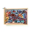 Picture of Magnetic Lacing and Fishing Box Toy Set (Per Variation)