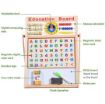 Picture of Multi-Purpose Magnetic Education Board(17" x 14" size)
