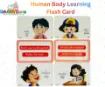 Picture of Human Body Learning Flash Card QUALITY