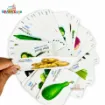 Picture of Bangla English Written Vegetable  Flash Card - Quality Version