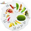 Picture of Bangla English written Fruits  Flash Card